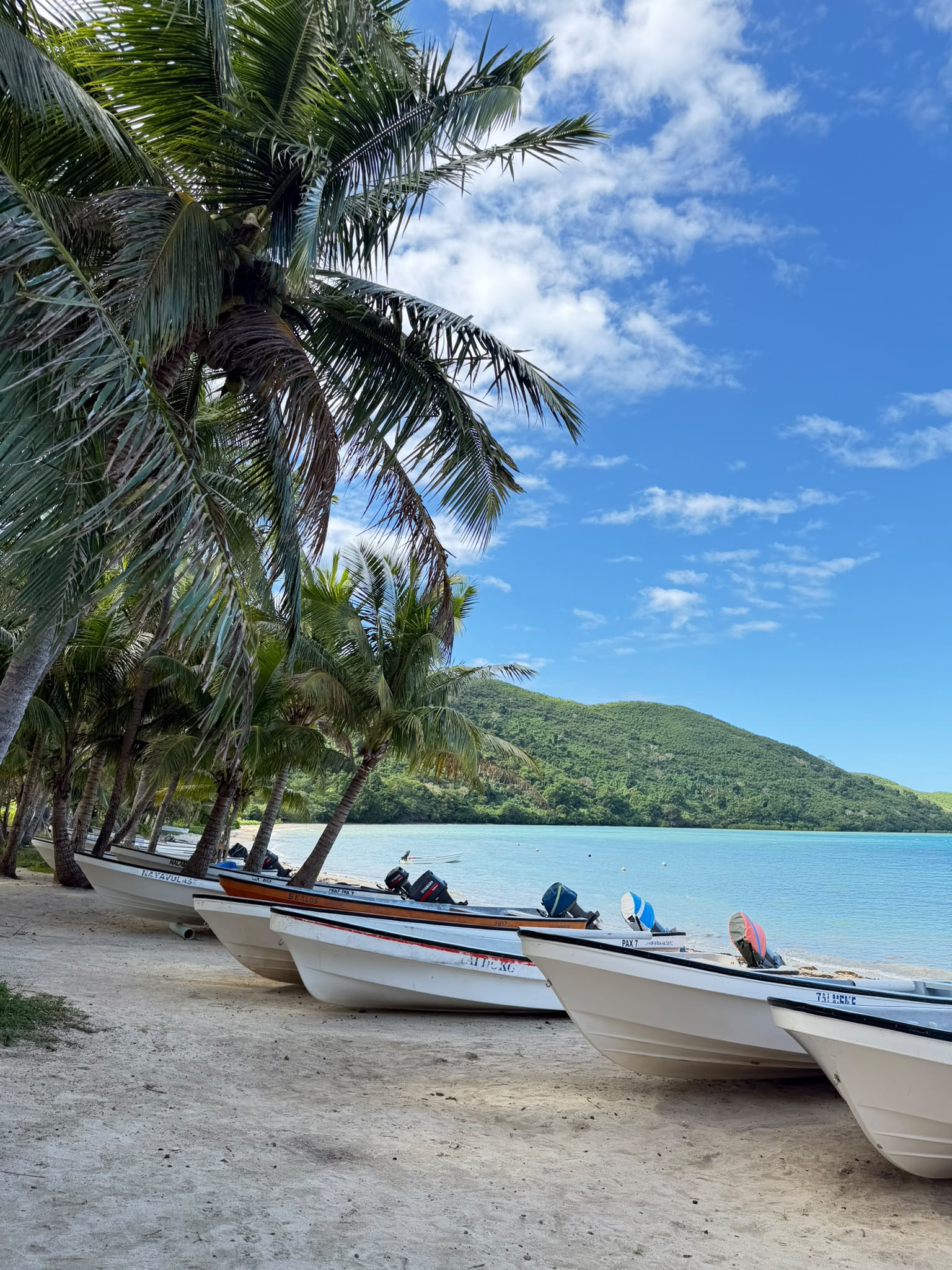 Fishing boats resting on a palm-lined beach beside a calm turquoise bay in Fiji