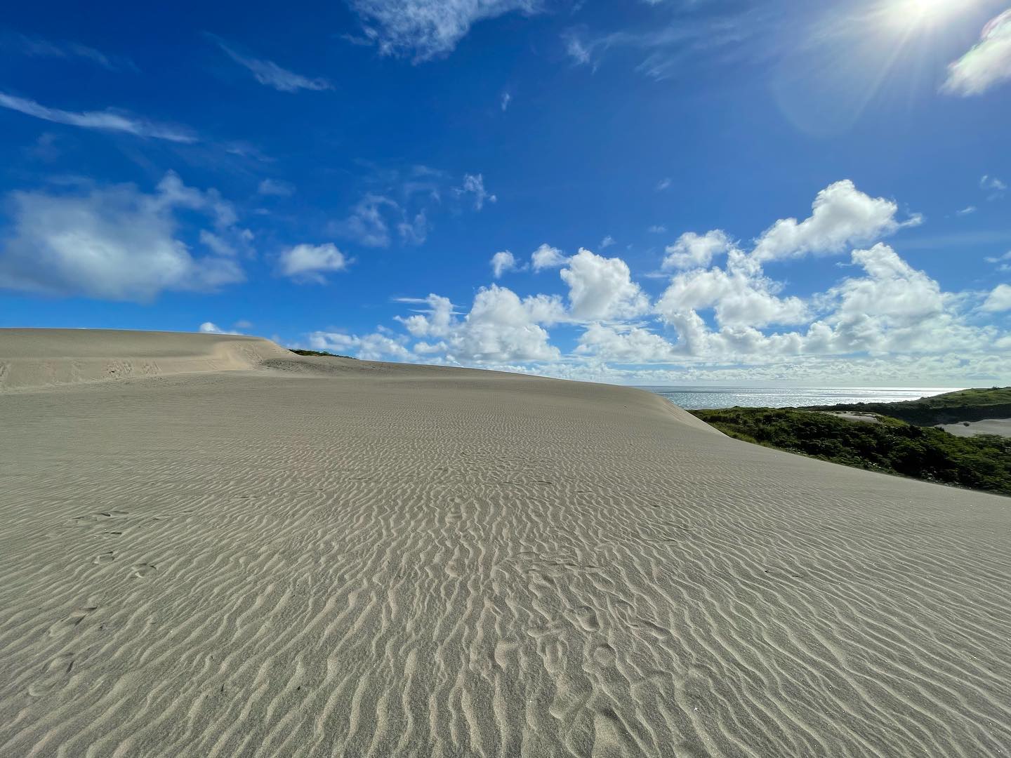 Wind-shaped dunes and coastline under a bright Pacific sky